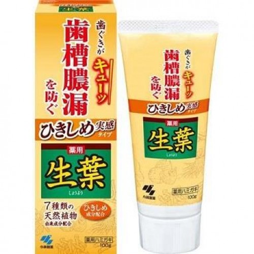 Kobayashi 小林製藥 生葉齒槽膿漏潔淨牙膏 100g 牙齦緊緻牙膏 2028.10 163-1644 