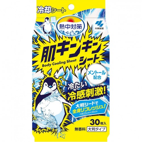小林製藥 - 熱中對策 防暑冷涼感身體濕紙巾 約25 x 20cm 30枚入 無香料 163-0479