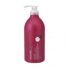 [只限店取] KUMANO-HORSE 熊野 Salon Link 沙龍氨基酸修護椿花 洗髮精 1000ml 163-1154