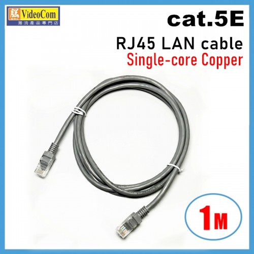 Cat.5E (灰色) 1米 RJ45 網絡線 | UTP 0.5B 單芯銅線 AP418863